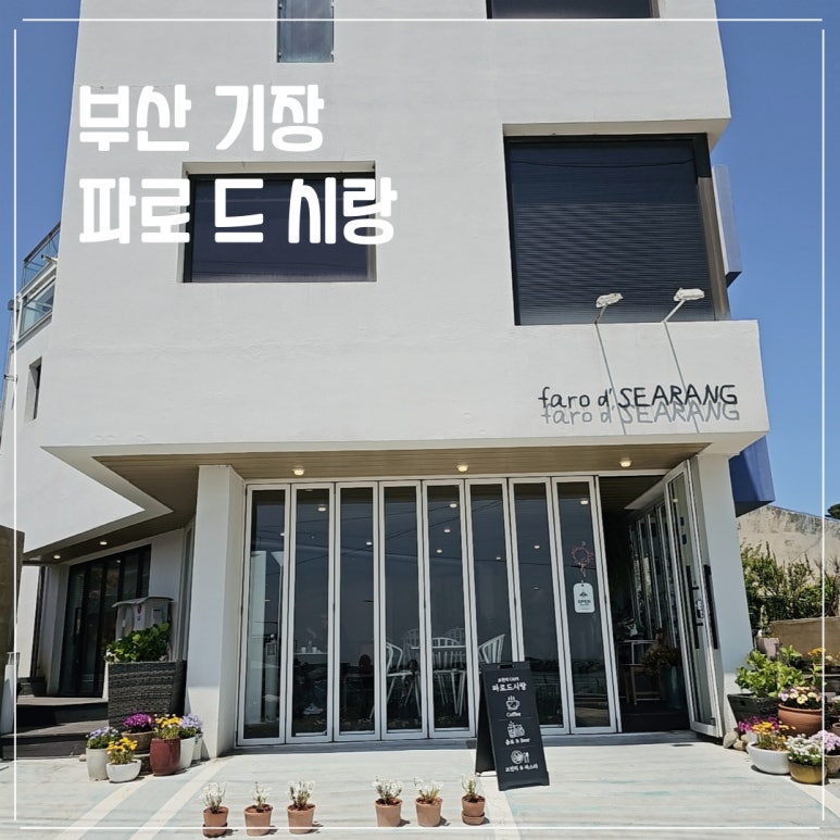 파로드시랑 이미지