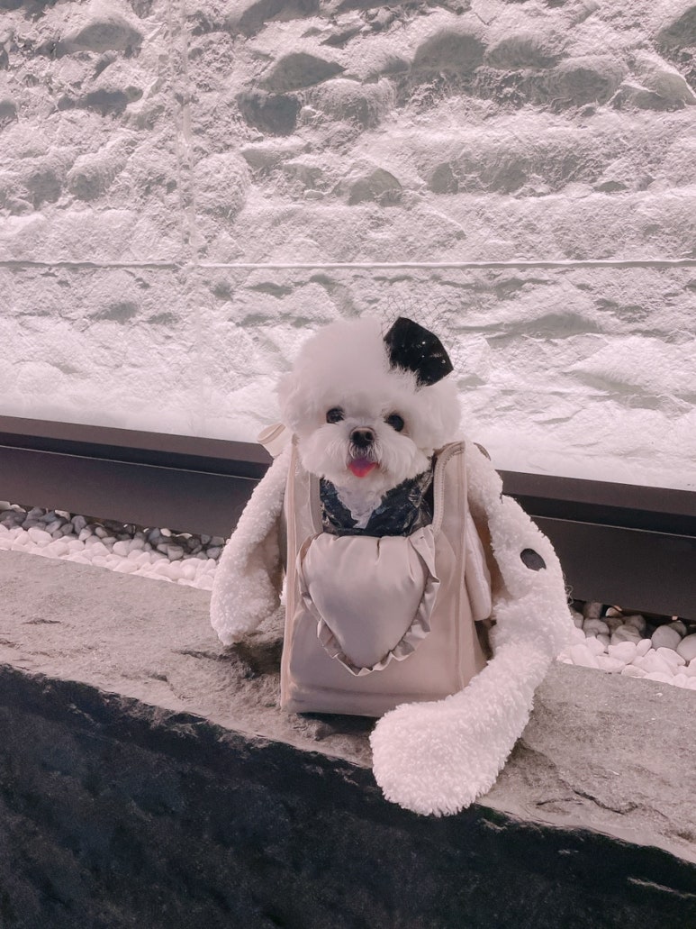 제제감성 이미지