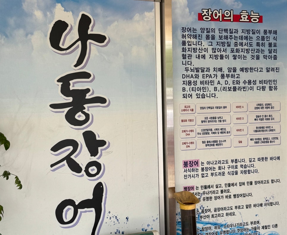 나동장어 이미지