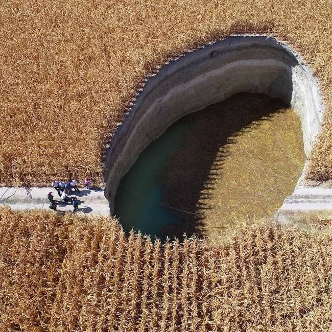 바이리 이미지