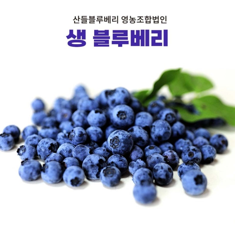 고성식품 이미지