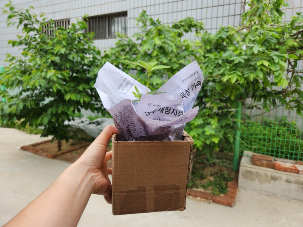 정원베네토 이미지