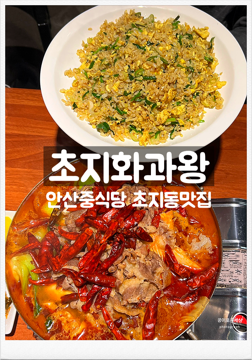 초지화과왕 이미지