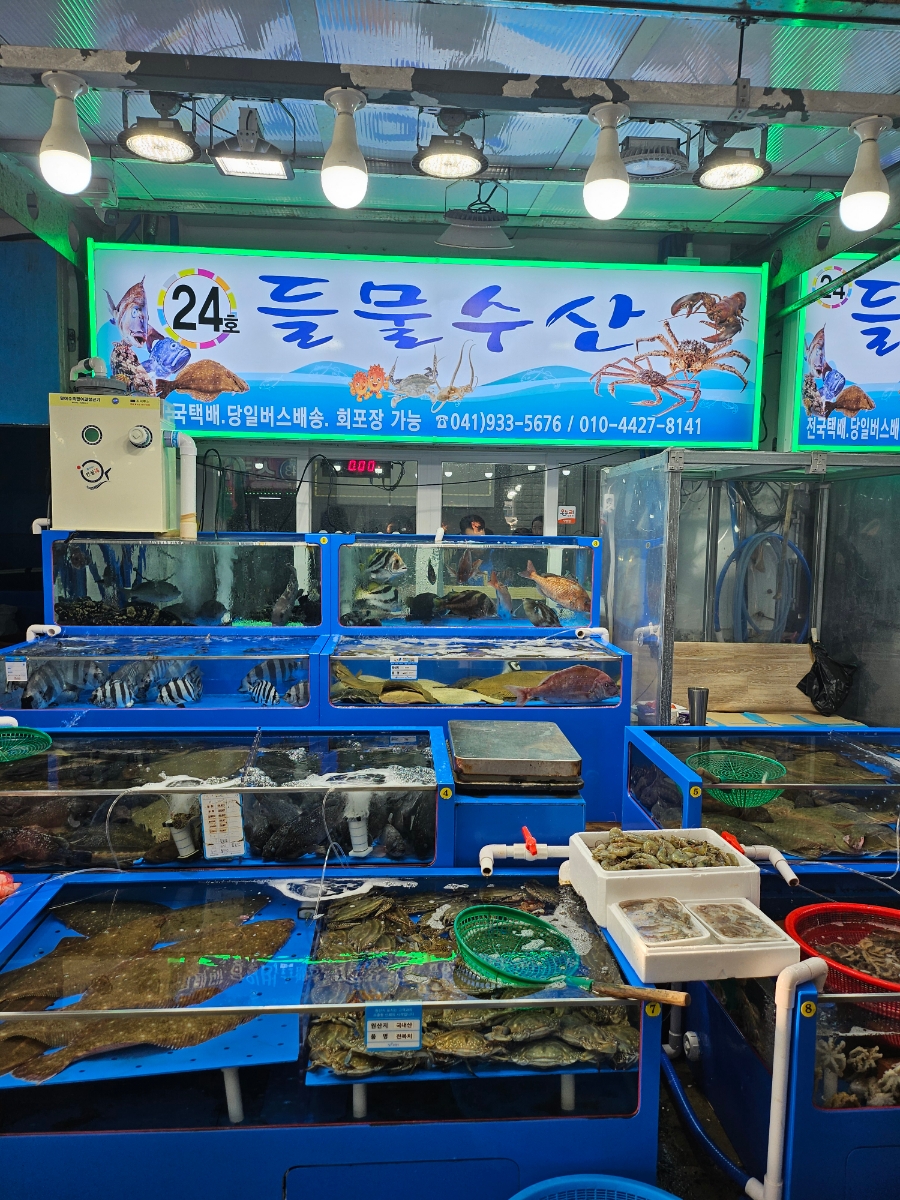 대천항건어물센터 이미지