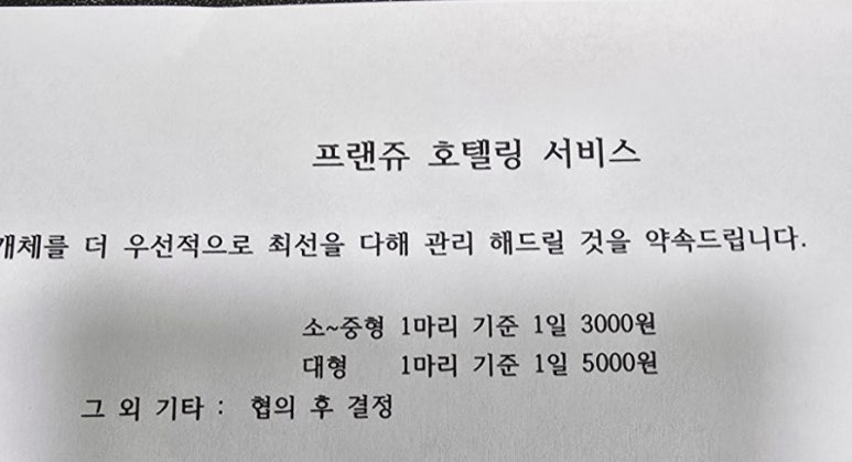 굼모닝 이미지