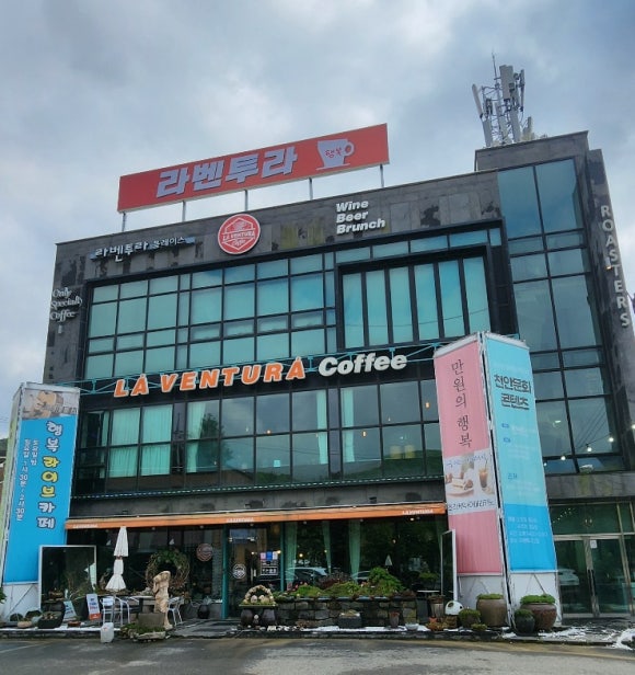 라벤투라 이미지