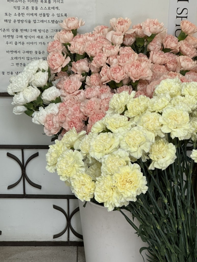 바비슈아 이미지