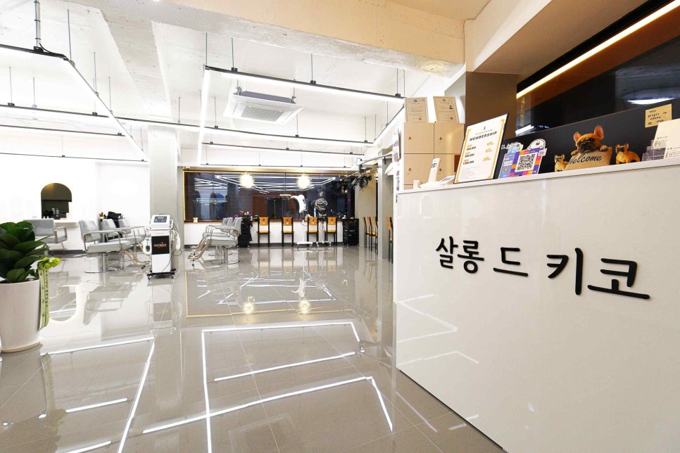 쩡이쌀롱 이미지