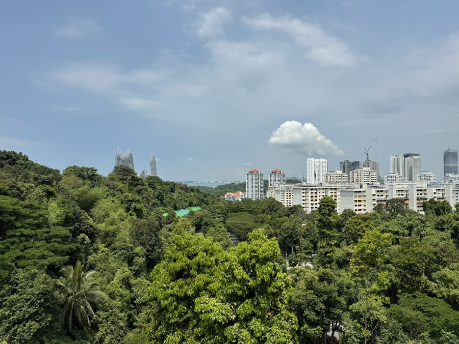 LEPAK 이미지