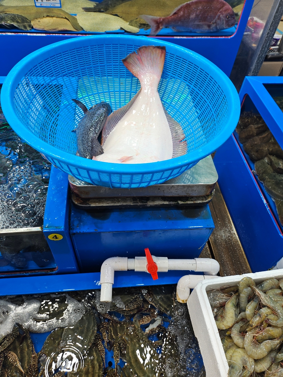 대천항건어물센터 이미지