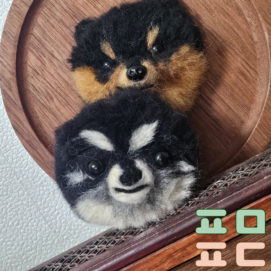 콩순이네 이미지