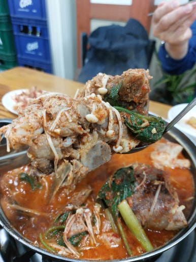 손큰집 이미지
