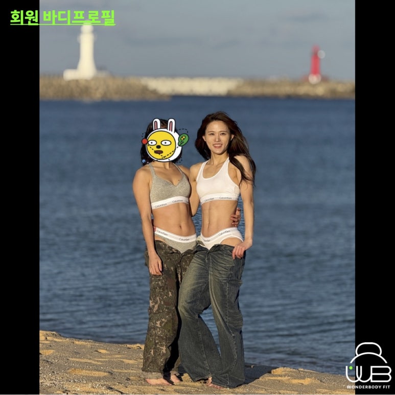 린바디핏 이미지