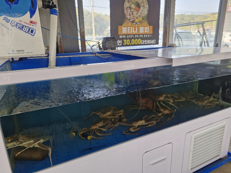 불티나수산 이미지