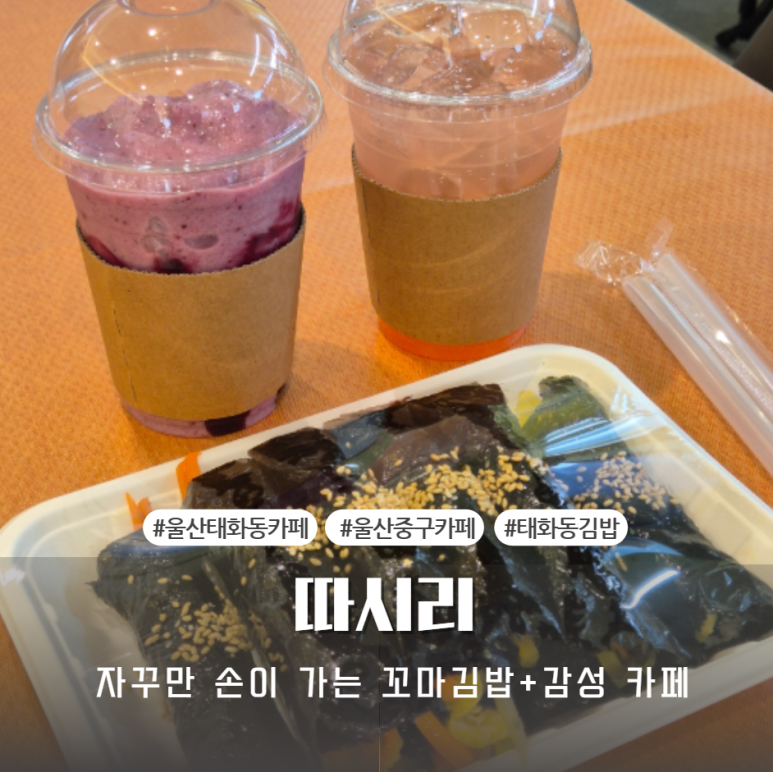 따시리 이미지