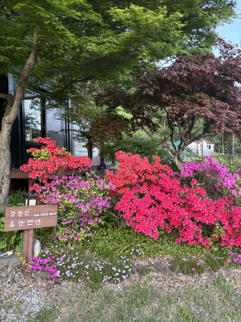 강천산휴양농원 이미지