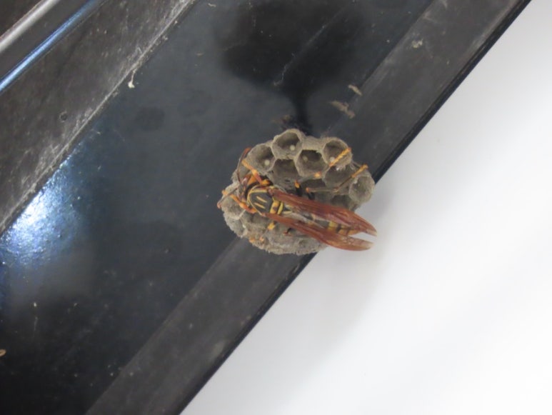 고수동굴 제2주차장 이미지