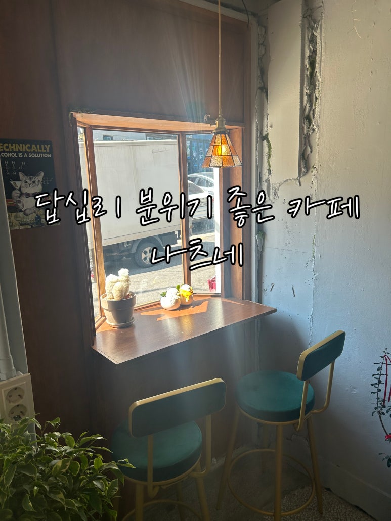 올나츠 이미지
