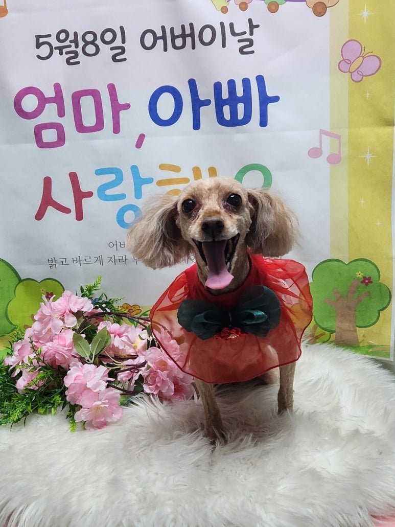 신아림 이미지