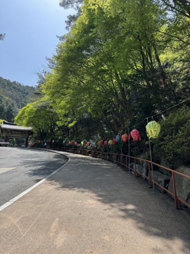 백자리식당 이미지