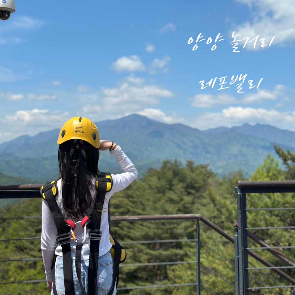 레포밸리 이미지