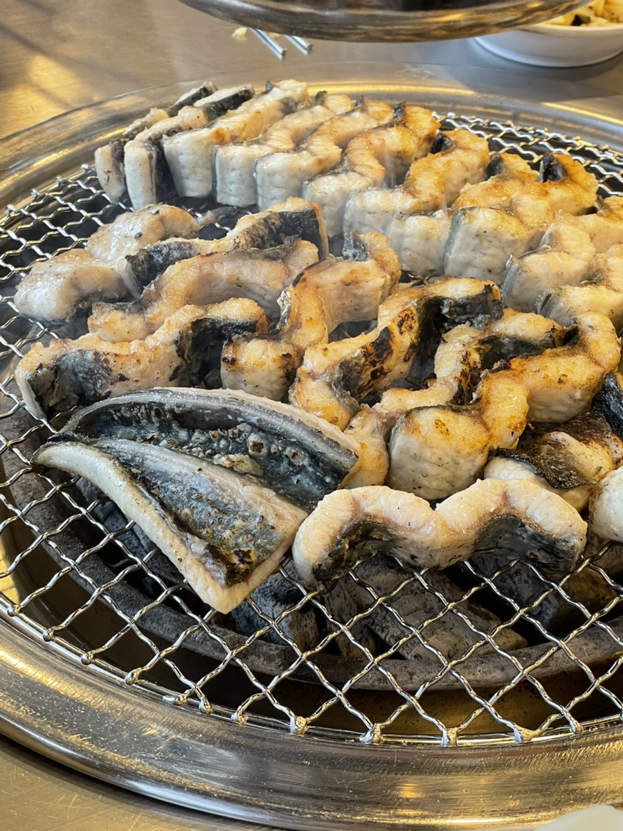오라장어 이미지