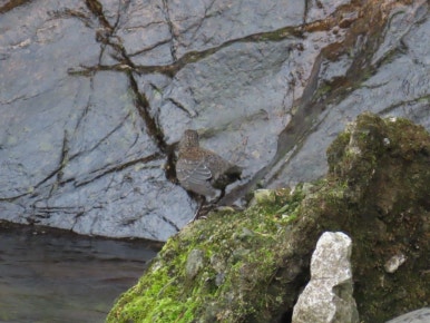 고수동굴 제2주차장 이미지