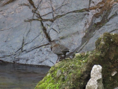 고수동굴 제2주차장 이미지