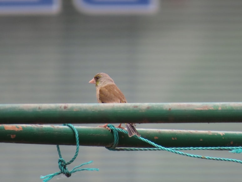 고수동굴 제2주차장 이미지