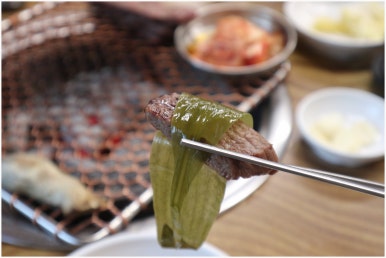 수돈 이미지