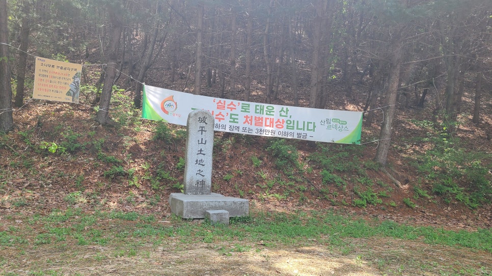 파평산 정상 이미지