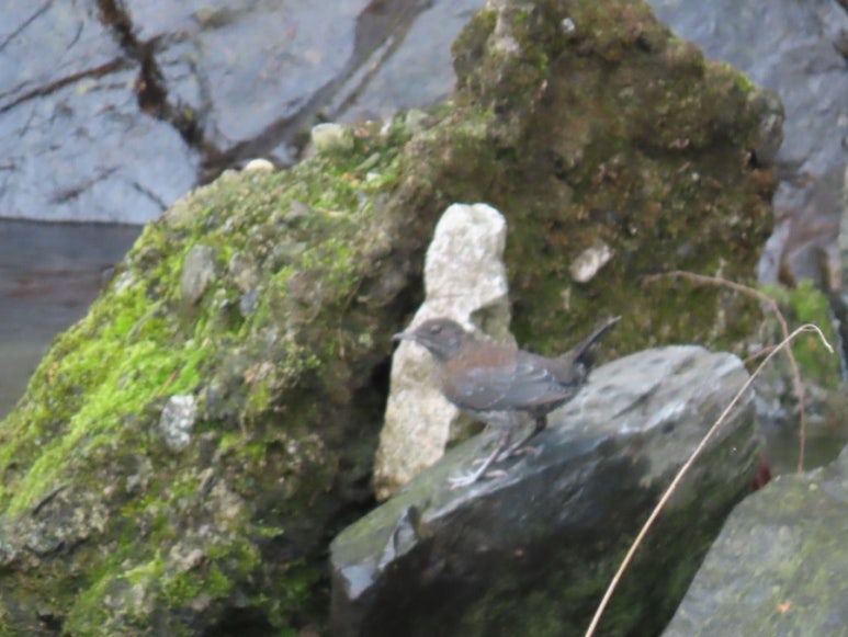 고수동굴 제2주차장