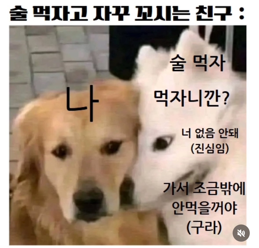 아스라이 이미지