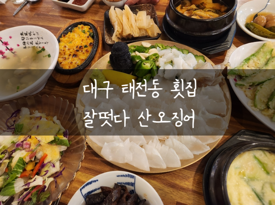 오늘도회떳다 이미지