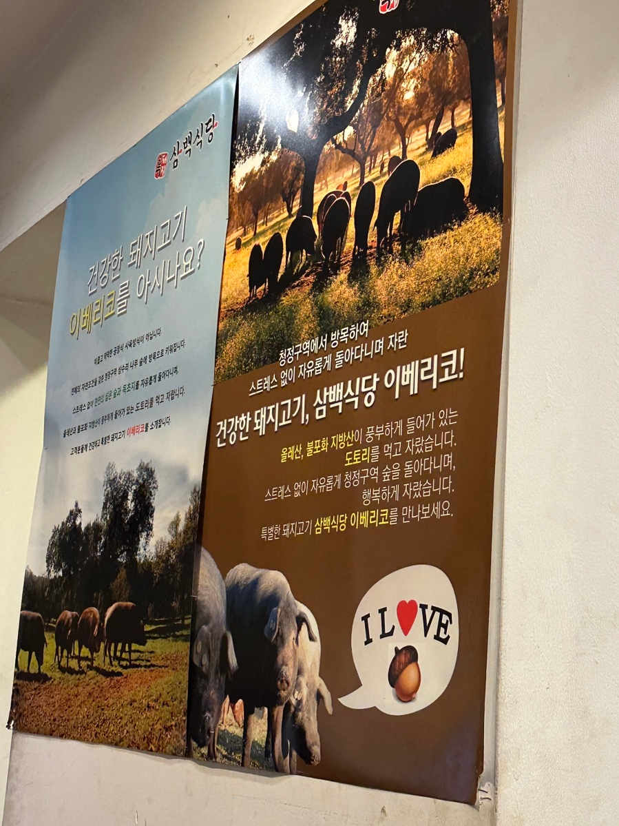 삼백인테리어 이미지