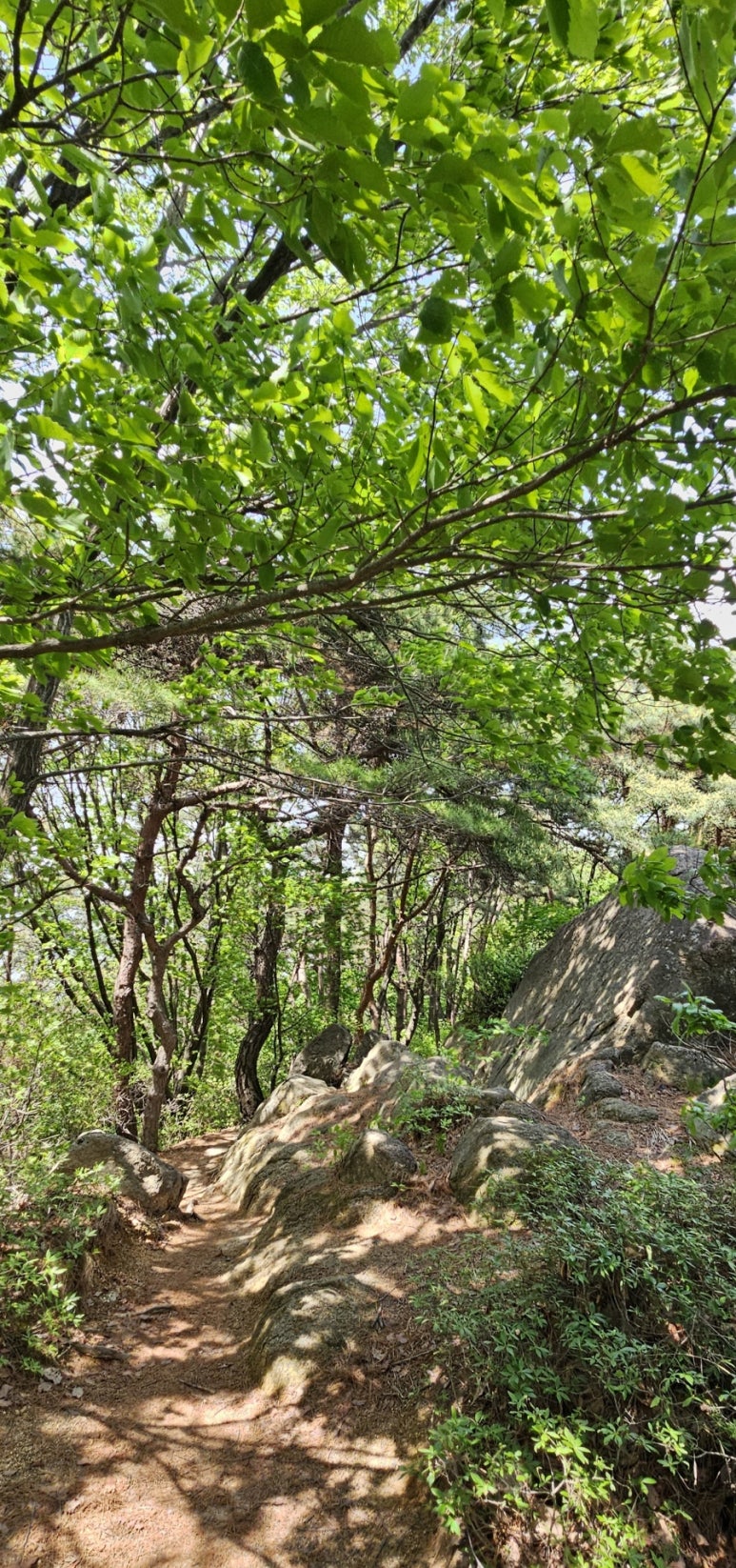 보문산 이미지