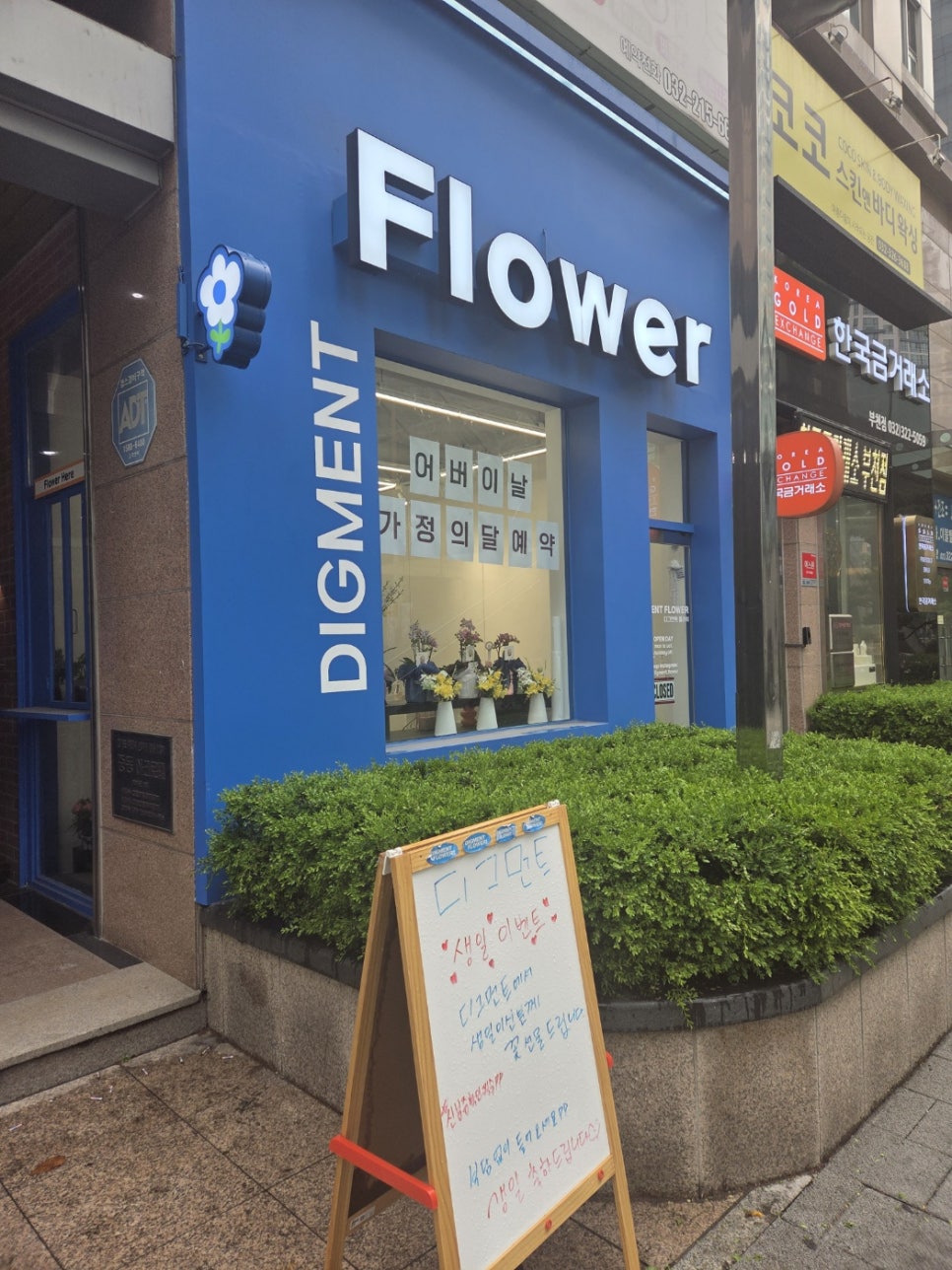 디그먼트 이미지