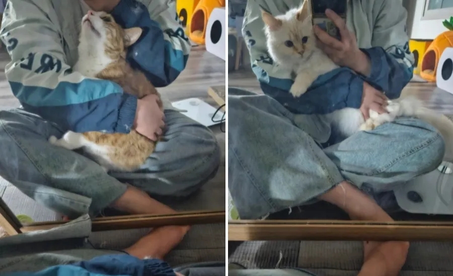 프로출장러 이미지