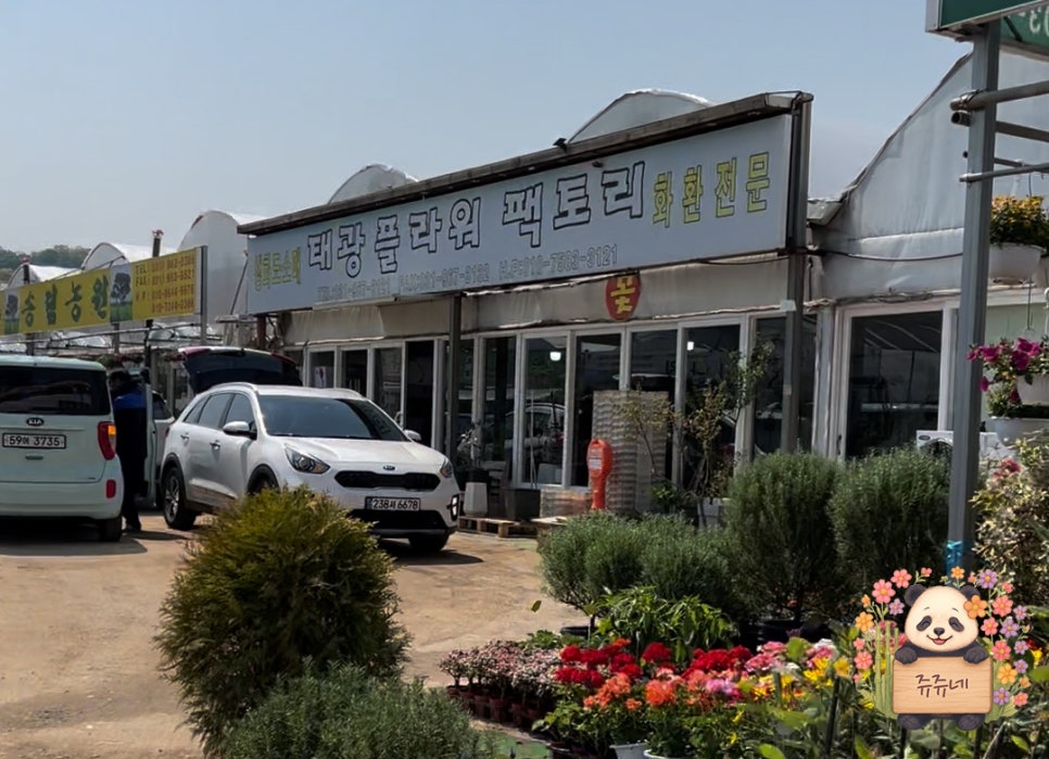 태광화원 이미지