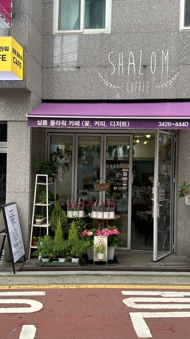 샬롬플라워 이미지