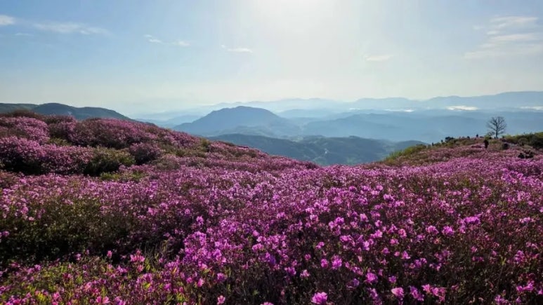 푸른산맑은물 이미지