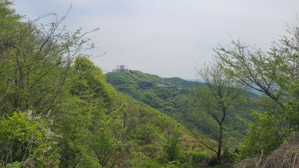 파평산 정상 이미지