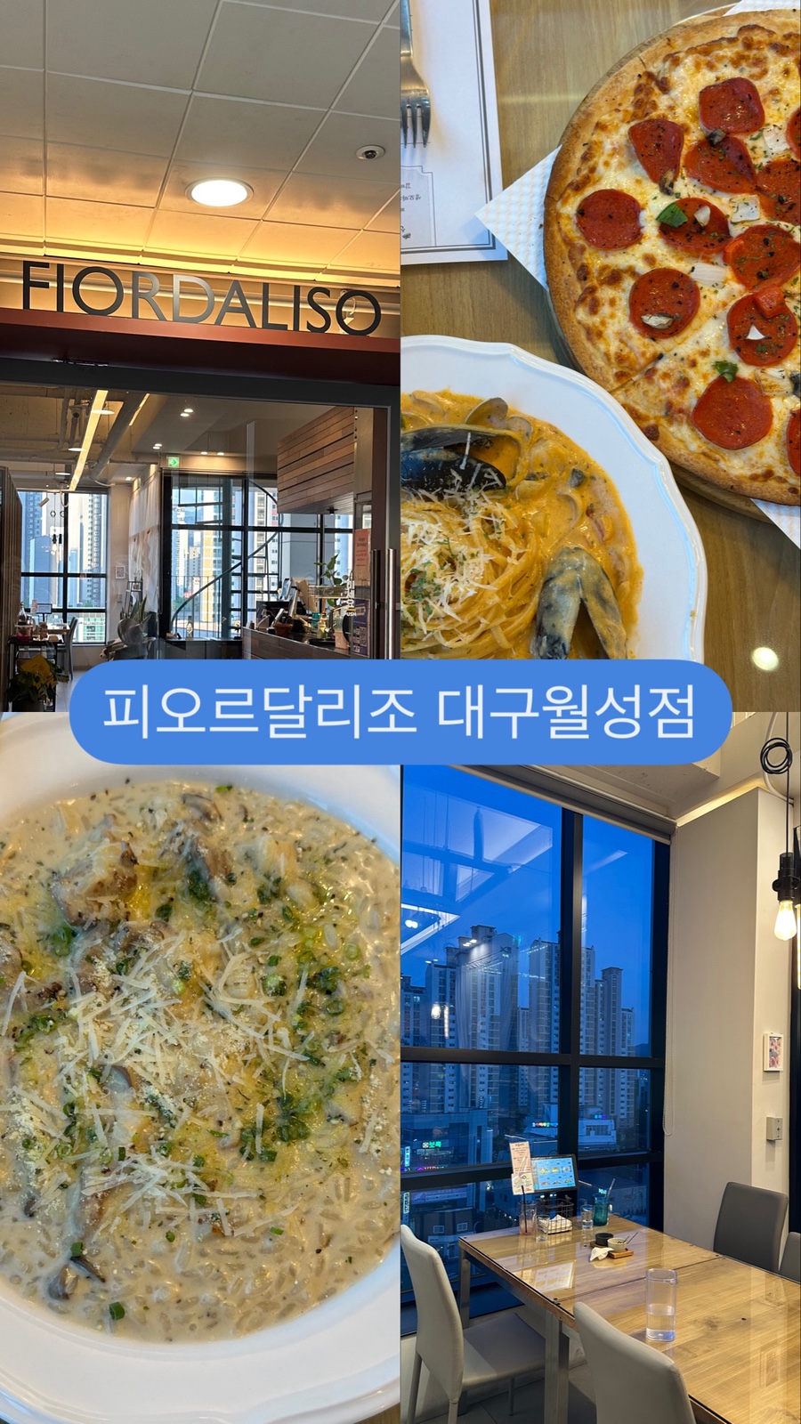 피오르달리조대구 이미지