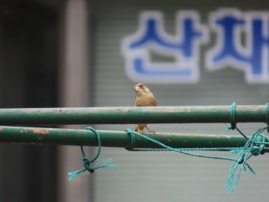 고수동굴 제2주차장 이미지