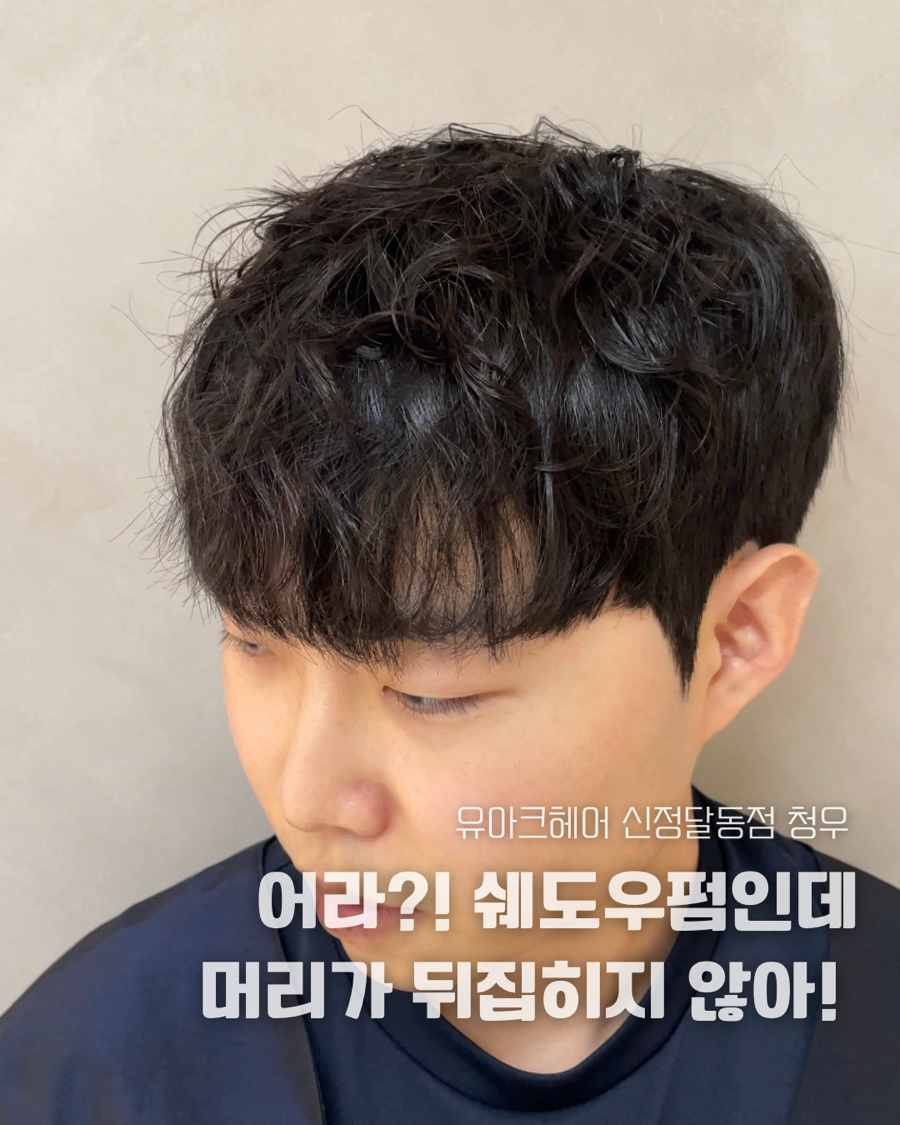 신정수석 이미지