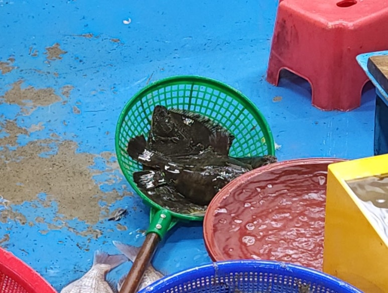 청정회타운 이미지