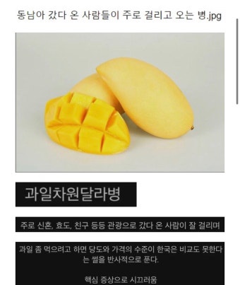 리빈 이미지