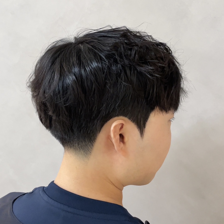 신정수석 이미지