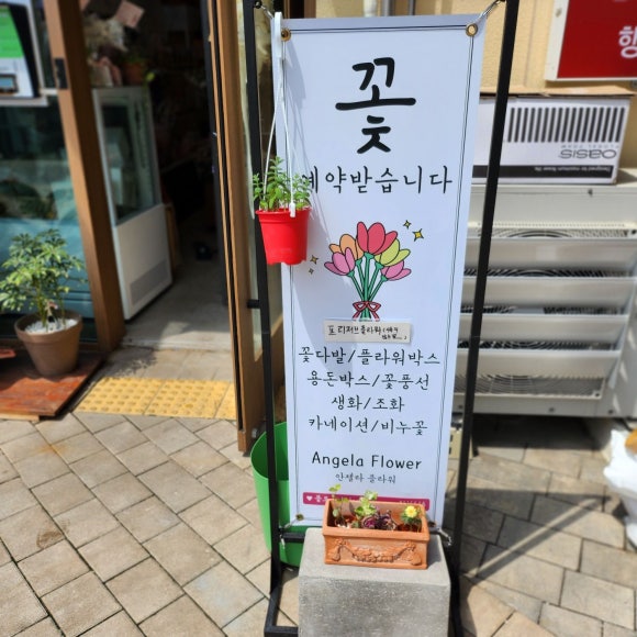신신플라워 이미지