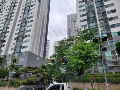 허세김밥 이미지